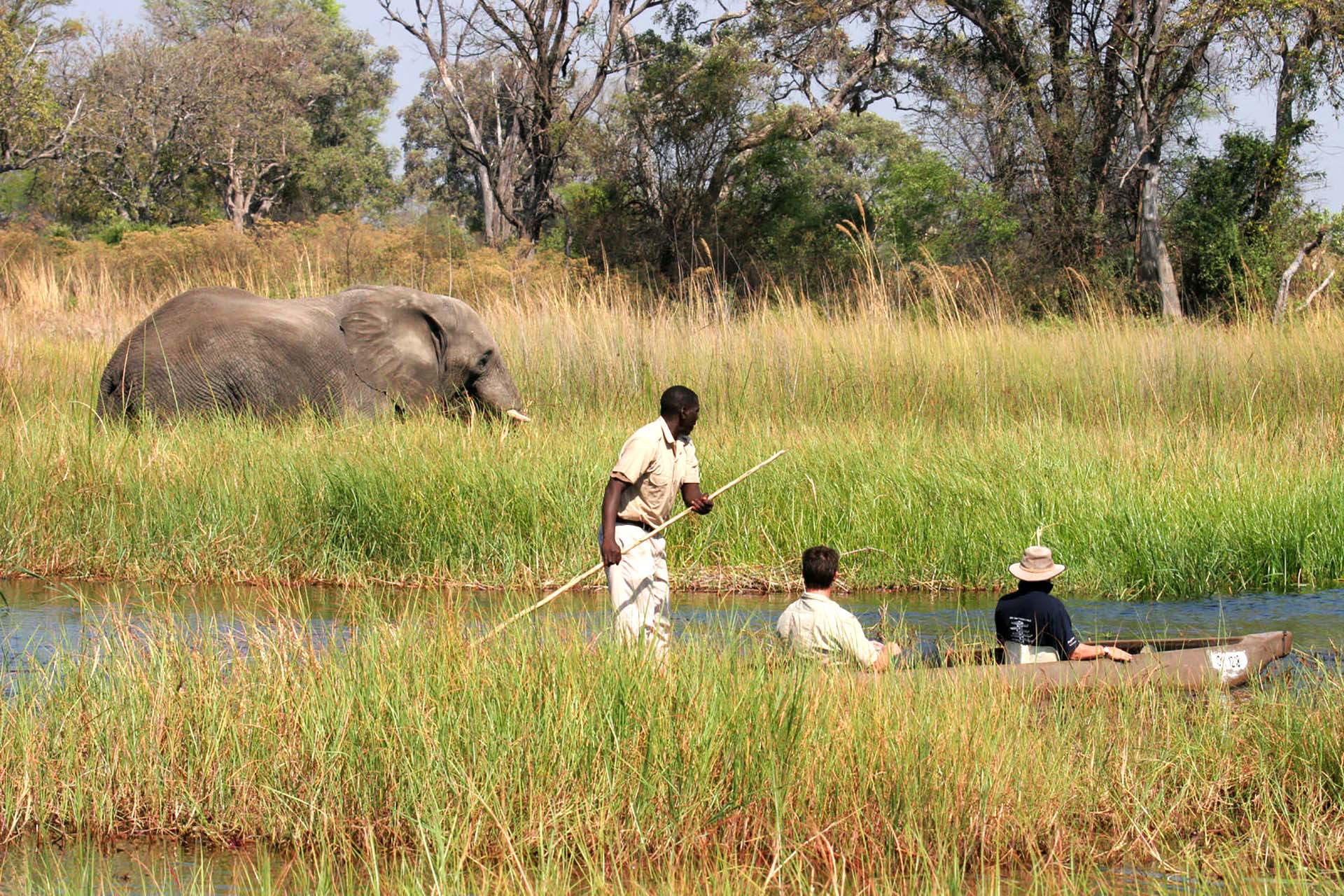 Okavango Delta Fly-in